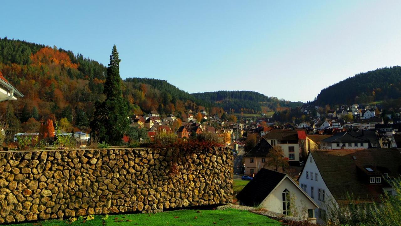 Villa Fink Schramberg Exterior foto